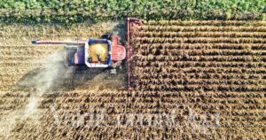Bandi anche per i giovani agricoltori