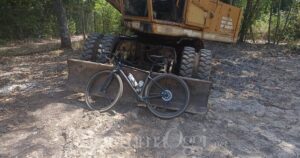 La bici nei boschi fra San Vincenzo e Castagneto
