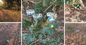 Alcune immagini di bottiglie e resti di bivacco al parco del Diversivo