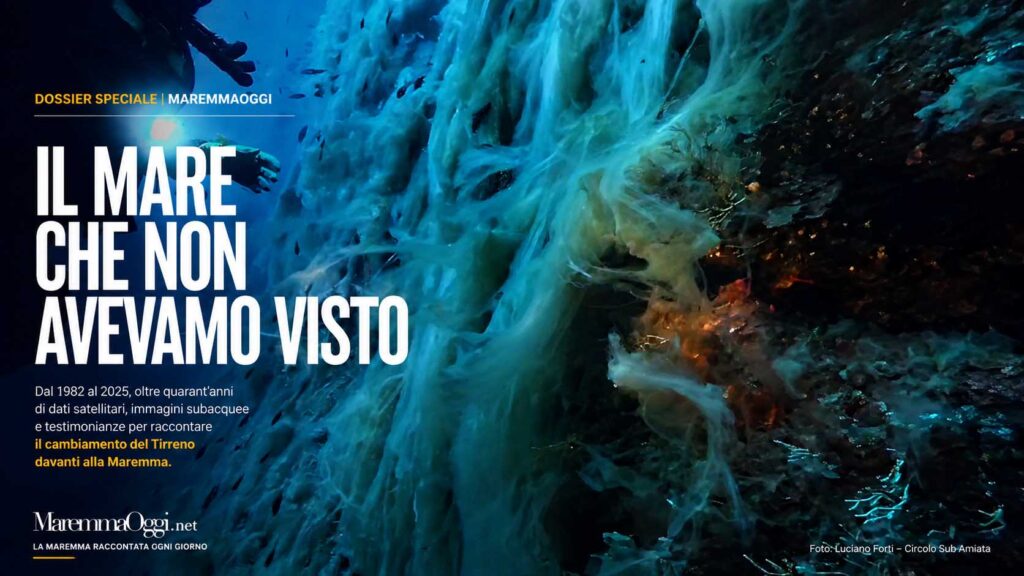 Un sub davanti a una parete sottomarina ricoperta di mucillaggine (foto Luciano Forti)