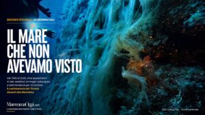 Un sub davanti a una parete sottomarina ricoperta di mucillaggine (foto Luciano Forti)