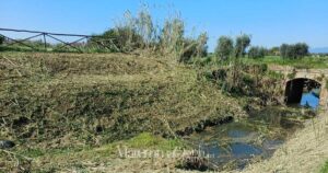 L'intervento del Consorzio di bonifica sul fosso Beveraggio