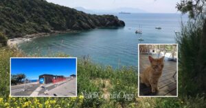 La spiaggia di Calamoresca, il Gattarossa chiuso e il gatto rosso in una foto di qualche anno fa