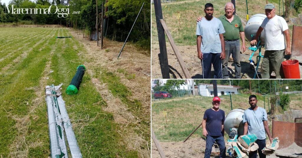 Il campo durante i lavori e alcuni dei volontari