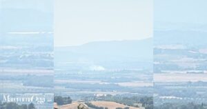 L'incendio a Pian del Bichi