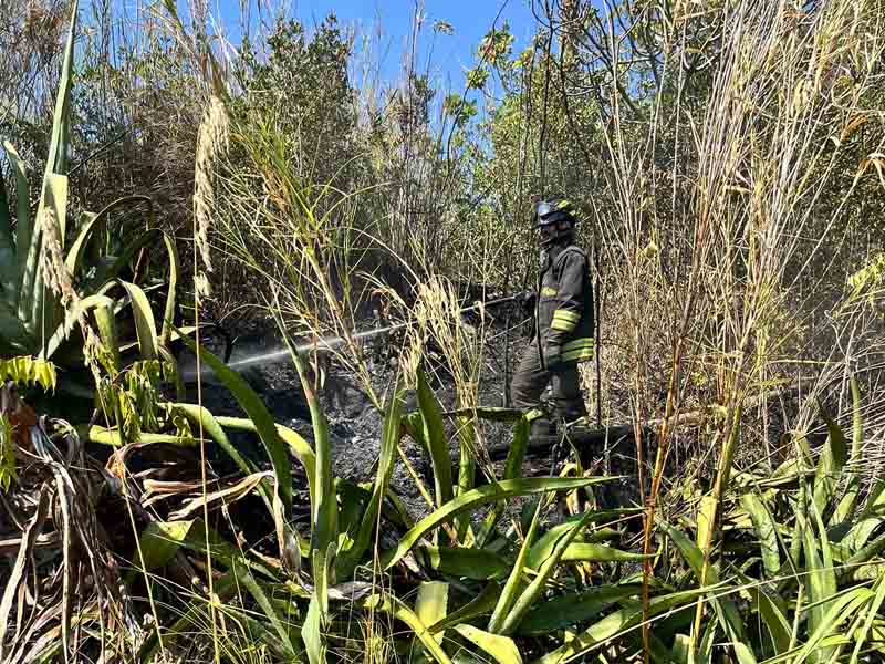 L'intervento dei vigili del fuoco