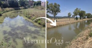 Il canale prima e dopo l'intervento del Consorzio di Bonifica