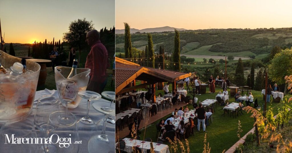 Begnardi vini
