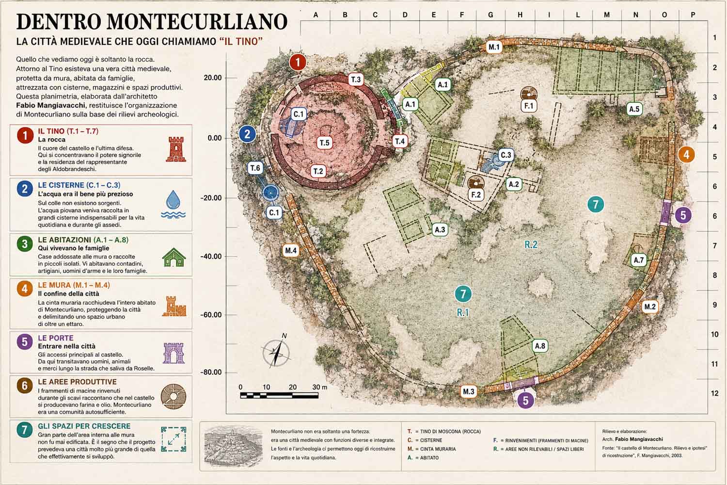 La planimetria del castello di Montecurliano, realizzata dall'architetto grossetano Fabio Mangiavacchi, ricostruisce l'organizzazione dell'antico abitato sulla base delle evidenze archeologiche. Il grande edificio circolare sulla sinistra è la rocca, oggi conosciuta come "Tino"; attorno si sviluppavano le abitazioni, le cisterne, gli spazi produttivi e la cinta muraria che racchiudeva l'intera città. Il rilievo è stato anche la base del progetto di consolidamento e restauro eseguito nel 2003 per conto della famiglia Lemarangi, proprietaria della Tenuta Il Poggione