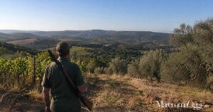 Cacciatore durante la stagione venatoria in Maremma
