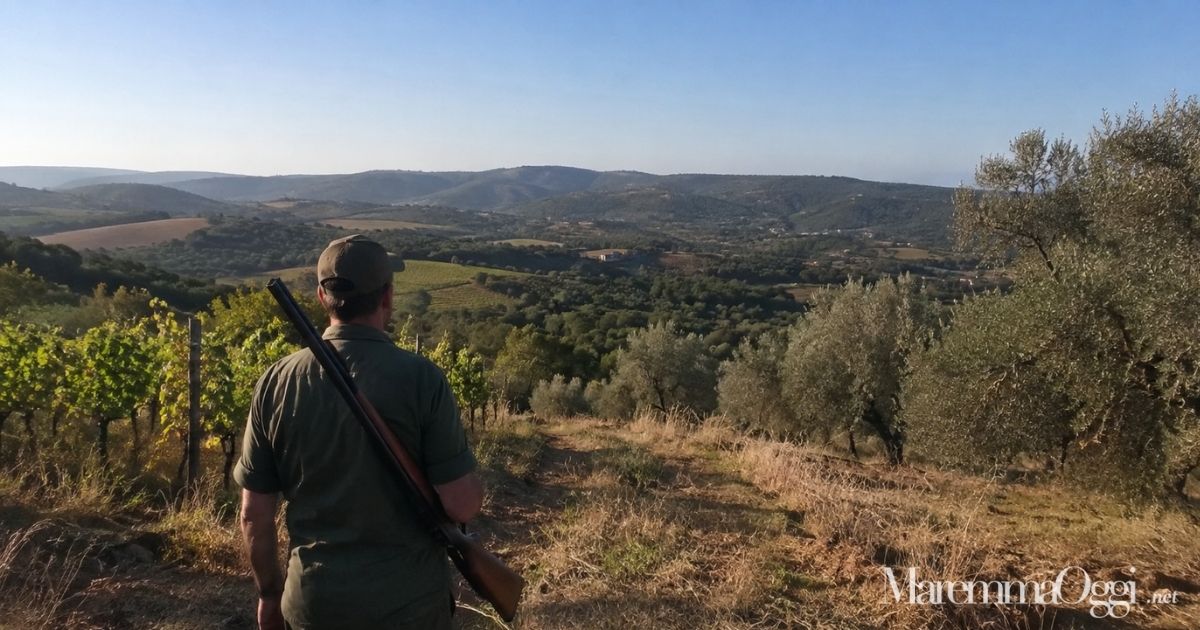Cacciatore durante la stagione venatoria in Maremma