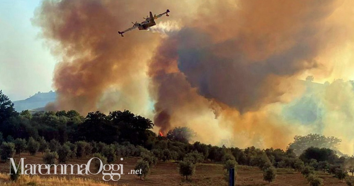 Un Canadair sull'incendio