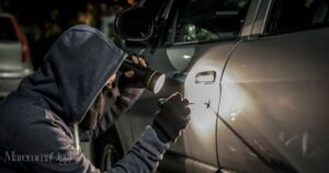Cento auto rubate in un anno in Maremma