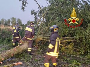 I vigili del fuoco mentre rimuovono un albero dalla strada