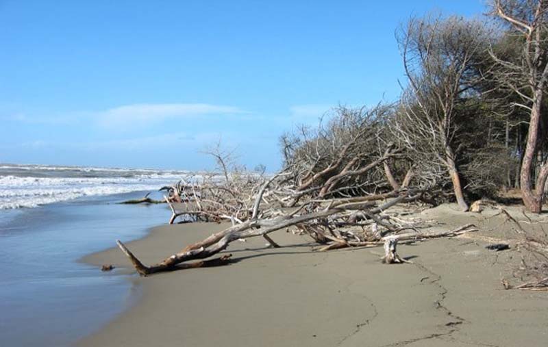 Erosione a Bocca d'Ombrone (foto Parco della Maremma)