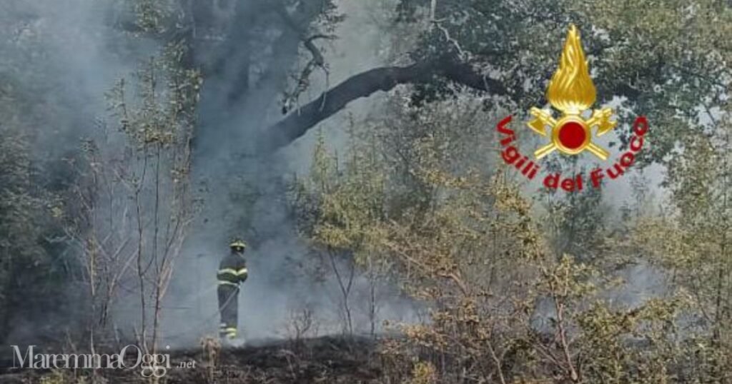 I vigili del fuoco sull'incendio