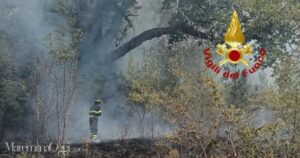 I vigili del fuoco sull'incendio