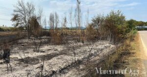 Il terreno bruciato dopo l'incendio