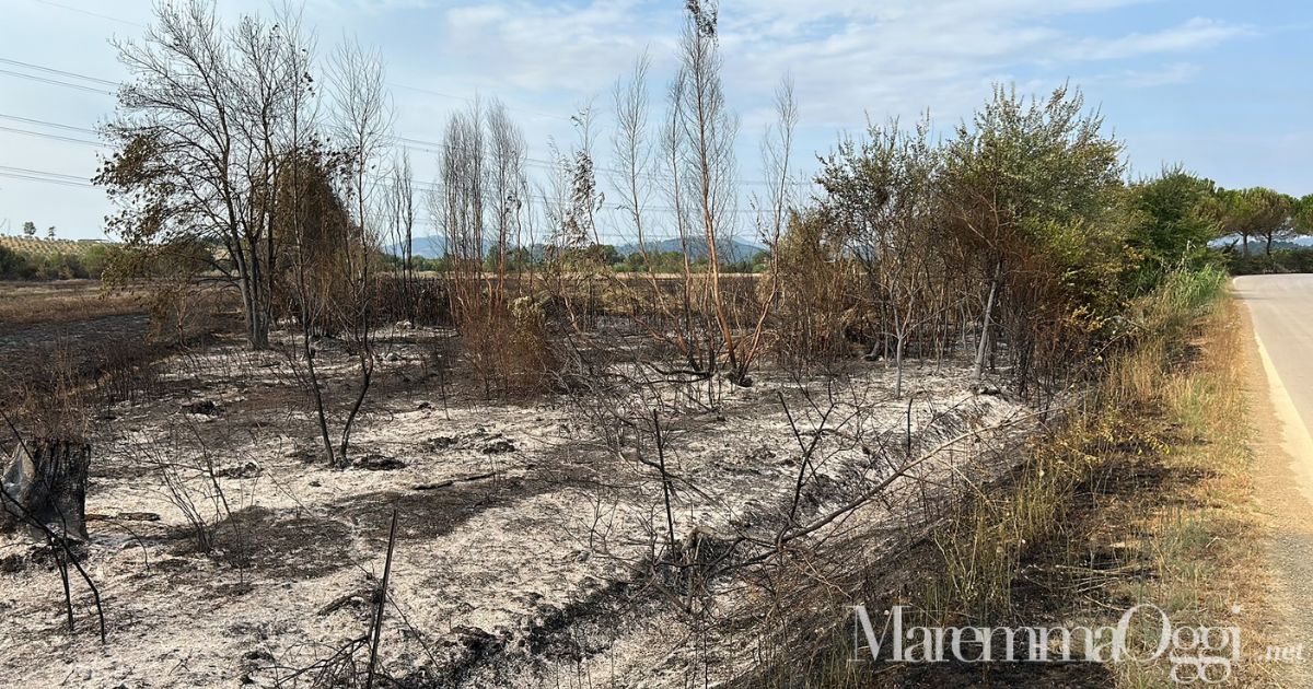 Il terreno bruciato dopo l'incendio