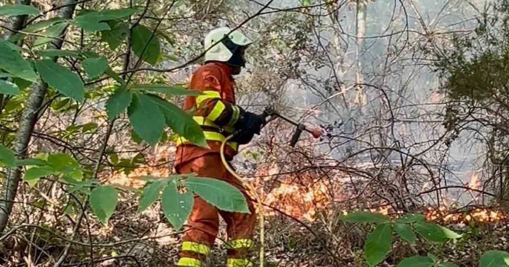 Un altro momento delle operazioni di spegnimento