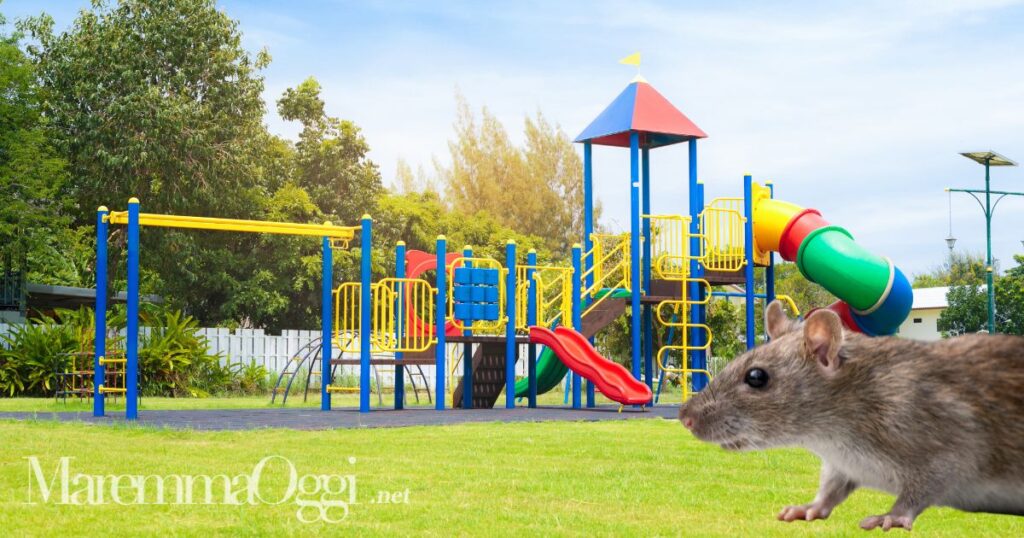 Un parco giochi e un ratto (foto d'archivio)