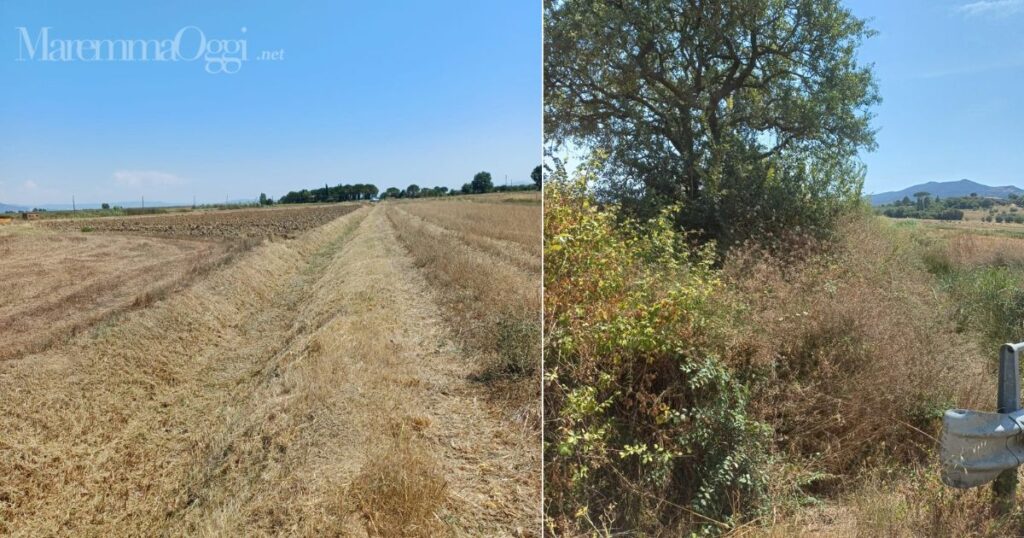 Rio Agnone prima e dopo l'intervento del Consorzio di Bonifica