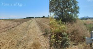 Rio Agnone prima e dopo l'intervento del Consorzio di Bonifica