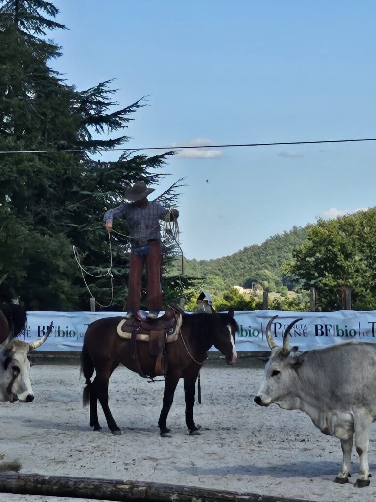 Un cowboy
