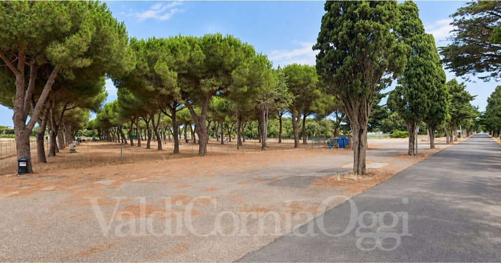 Il bosco di via Biserno a San Vincenzo