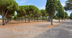 Il bosco di via Biserno a San Vincenzo