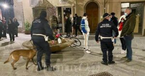Cani antidroga in azione negli anni scorsi, in questa foto nel periodo del Covid: insieme agenti in divisa e in borghese