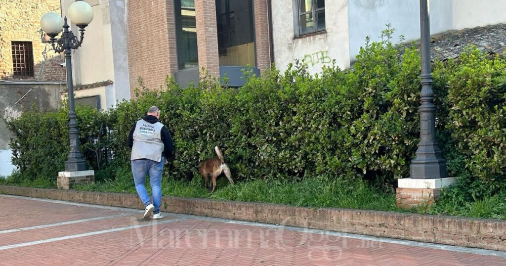 Controlli con il cane antidroga della polizia municipale in borghese in piazza San Francesco
