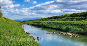 Il fiume Cornia