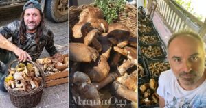 Da sinistra: Alessandro Golini, i funghi trovati nel comune di Massa Marittima e Alessandro Capanni