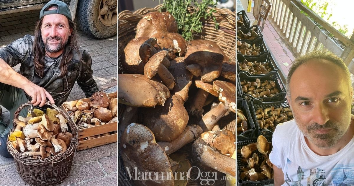 Da sinistra: Alessandro Golini, i funghi trovati nel comune di Massa Marittima e Alessandro Capanni