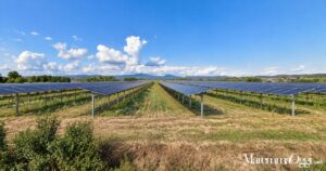 Un fotomontaggio di un impianto agrivoltaico nei campi a nord della strada dell'Ingegnere, a due passi da Sticciano Scalo