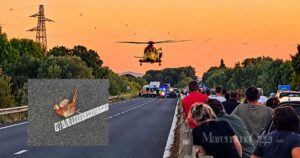Pegaso atterra sull'Aurelia a poca distanza da dove è avvenuto l'incidente, a sinistra il fagiano sull'asfalto