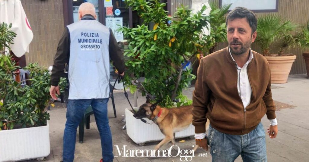 L'assessore Riccardo Megale interviene sulla sicurezza e sul Nos