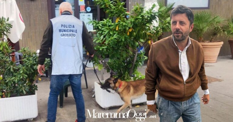 L'assessore Riccardo Megale interviene sulla sicurezza e sul Nos