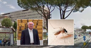 Velio Giuggioli, morto a 89 anni per un'encefalite causata dal West Nile