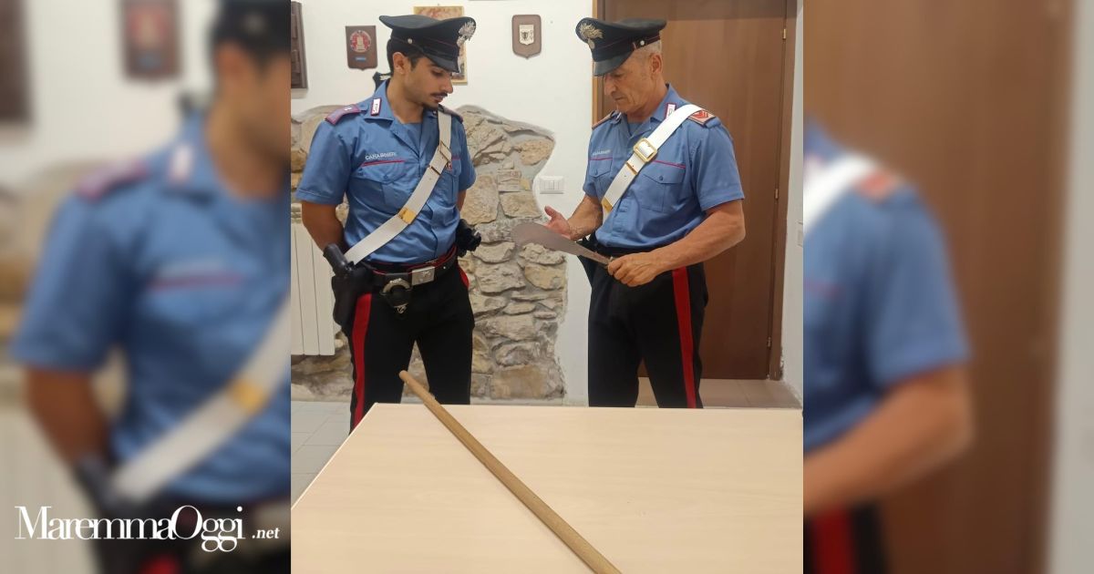 Le armi sequestrate al 27enne