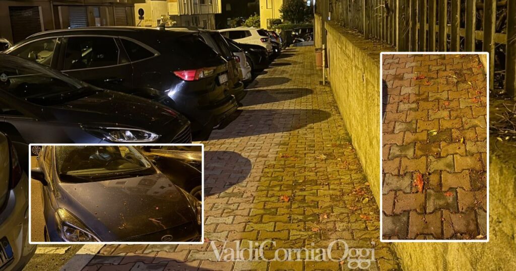 La zona del lancio dei petardi e i resti sulle auto dei botti
