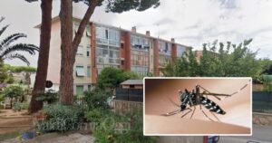 Nuovo caso di Dengue a Piombino, nella zona di via Alessandrini