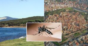 L'emergenza per Dengue e West nile non è ancora finita in Maremma e in Val di Cornia