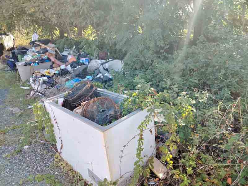 Un'altra immagine della discarica?