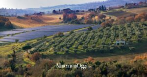 Un fotomontaggio che mostra pannelli fotovoltaici nella campagna della Maremma