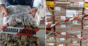 Il pesce sequestrato dalla Guardia costiera nei ristoranti fra Piombino e l'Elba